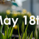 Primary Day is May 18th
