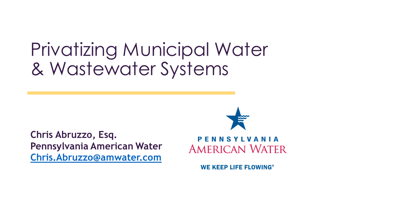 Local Government 101: Privatizing Municipal Water & Wastewater Systems